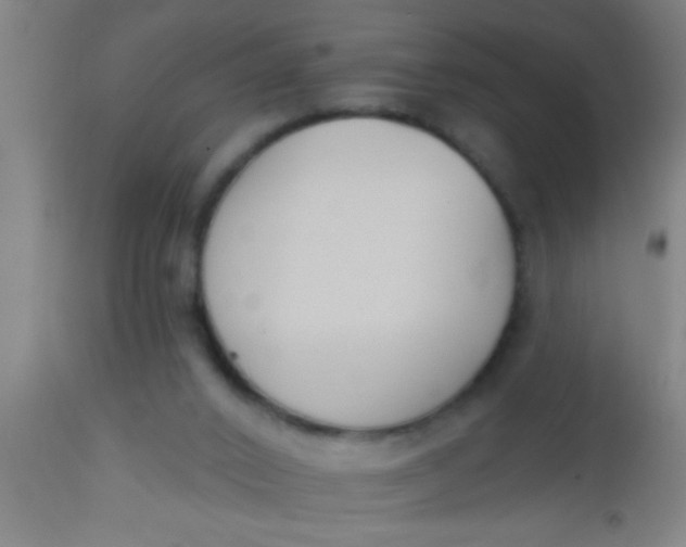 X0000112540016200909071433