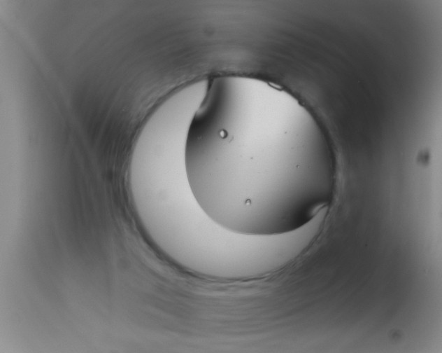 X0000112540017200909071433