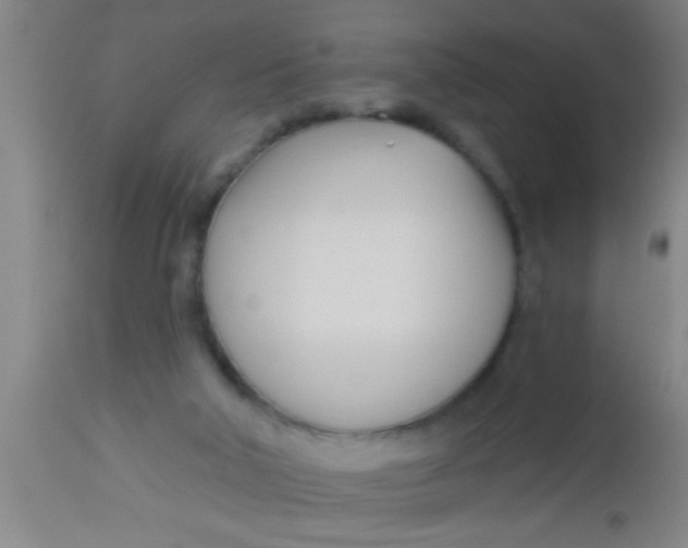 X0000112540018200909071433