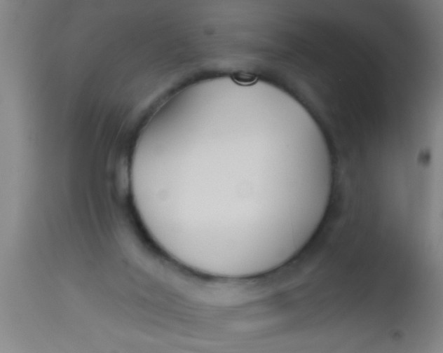 X0000112540020200909071433