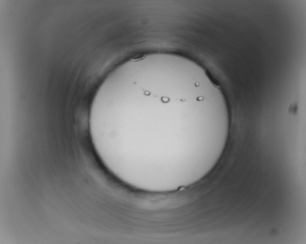 X0000112540021200909071433