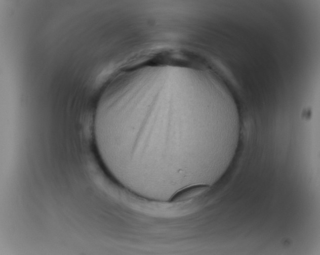 X0000112540023200909071433