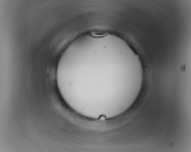 X0000112540024200909071433