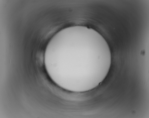 X0000112540028200909071433