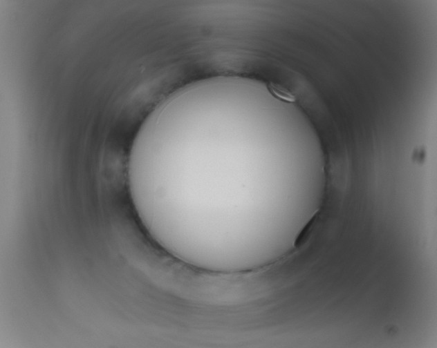 X0000112540029200909071433