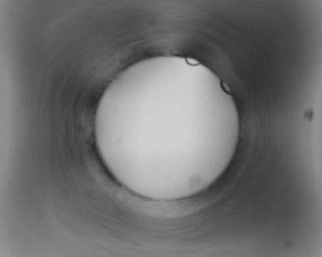 X0000112540030200909071433