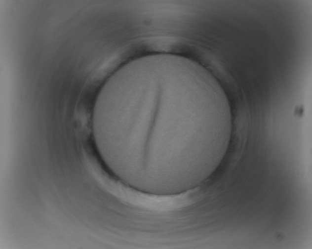 X0000112540031200909071433