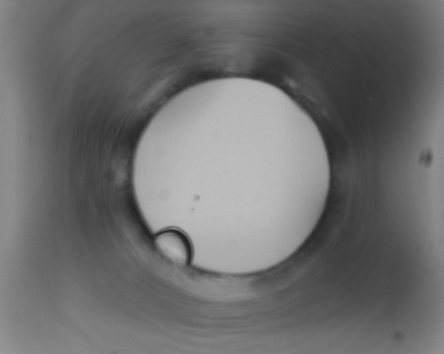 X0000112540032200909071433