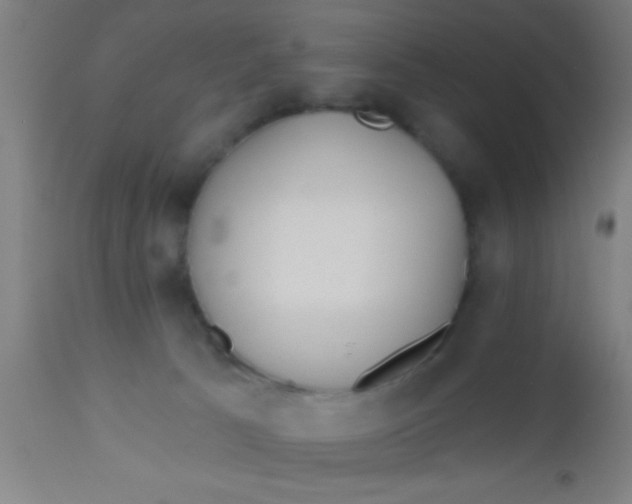 X0000112540033200909071433