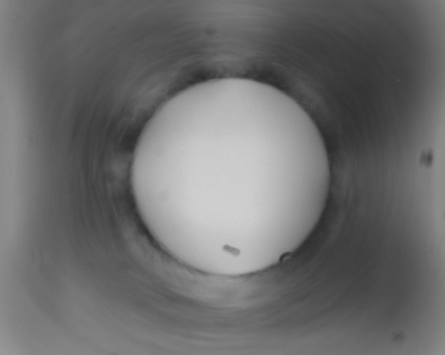 X0000112540034200909071433