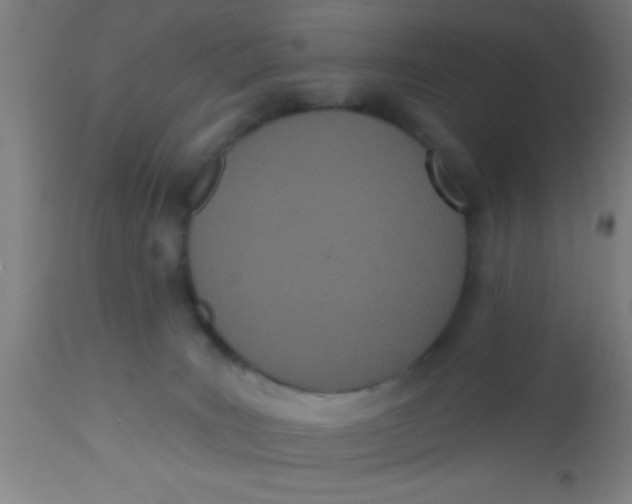 X0000112540035200909071433