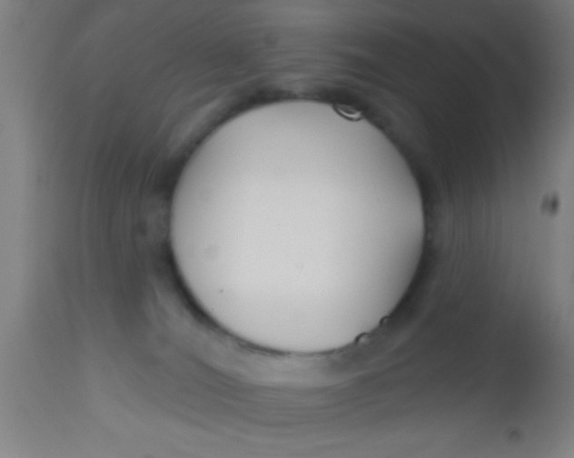 X0000112540036200909071433