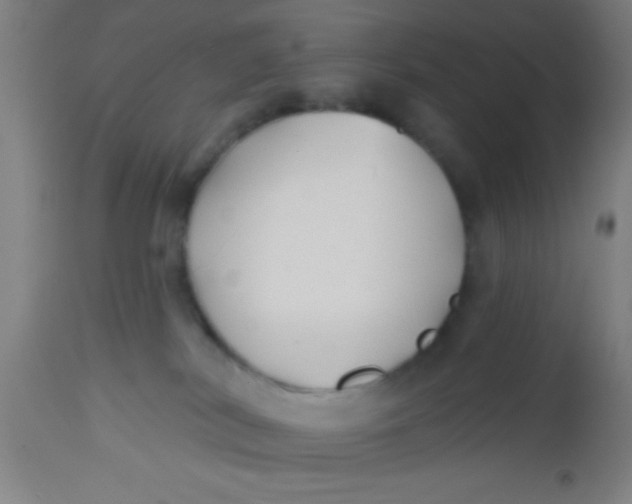 X0000112540038200909071433