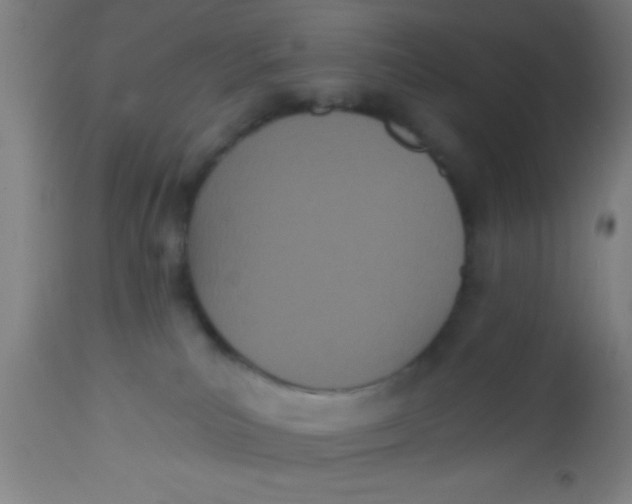 X0000112540039200909071433