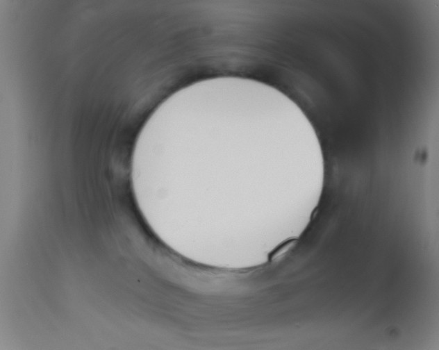 X0000112540040200909071433