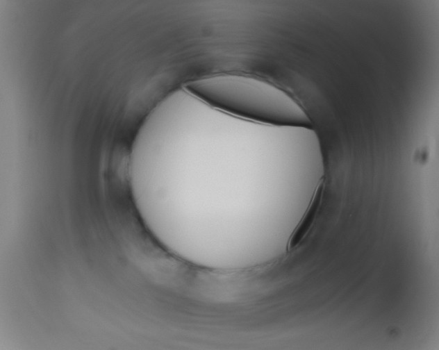 X0000112540041200909071433