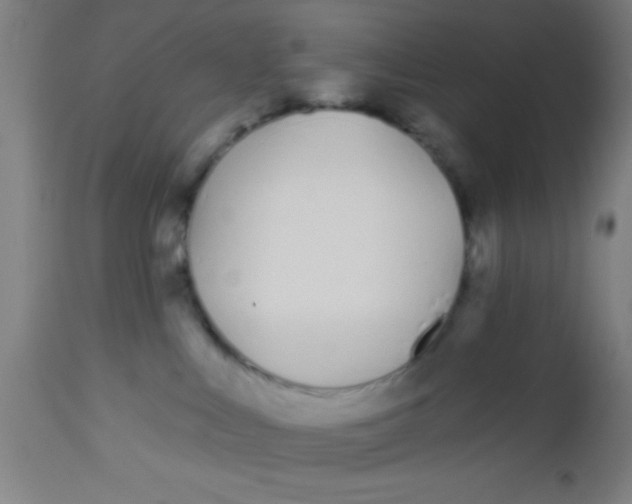 X0000112540043200909071432
