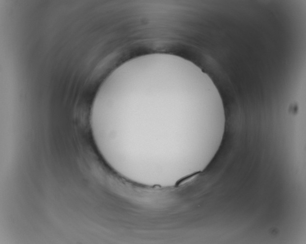 X0000112540044200909071432