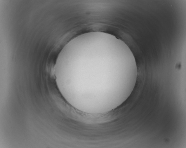 X0000112540046200909071432