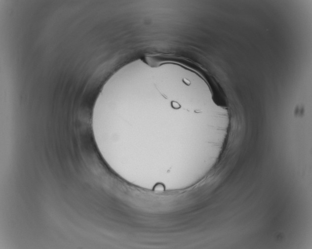 X0000112540048200909071432