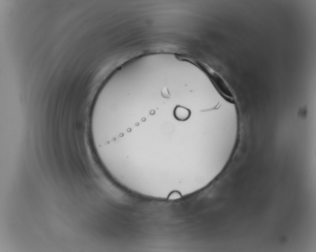 X0000112540049200909071432