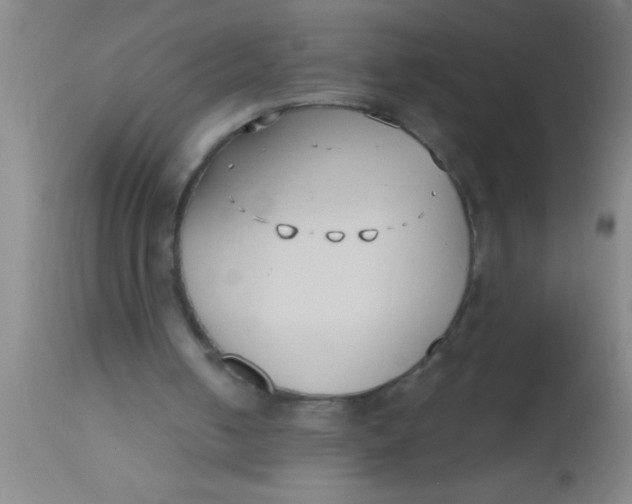 X0000112540050200909071432