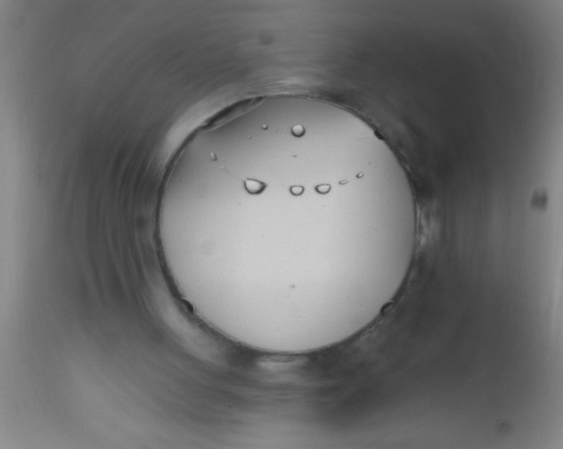 X0000112540051200909071432