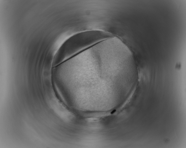 X0000112540052200909071432