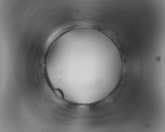 X0000112540053200909071432