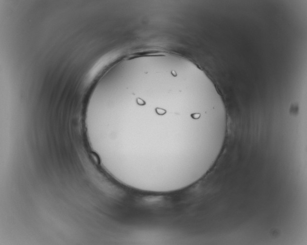 X0000112540054200909071432
