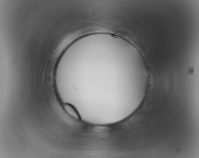 X0000112540055200909071432