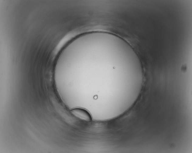 X0000112540056200909071432