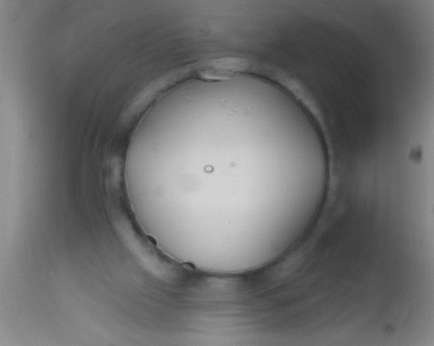 X0000112540057200909071432