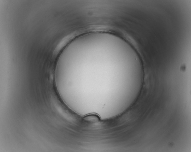 X0000112540059200909071432