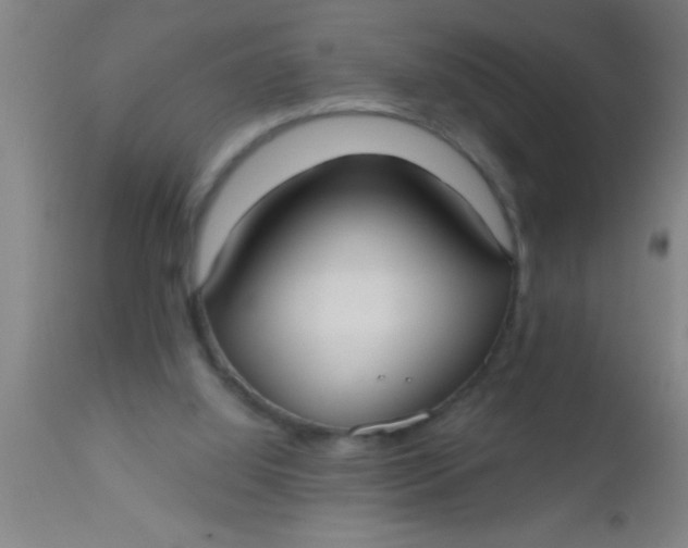 X0000112540060200909071432