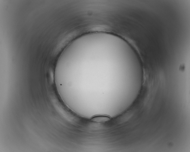 X0000112540061200909071432