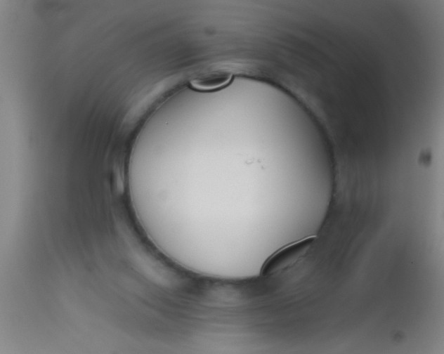 X0000112540062200909071432