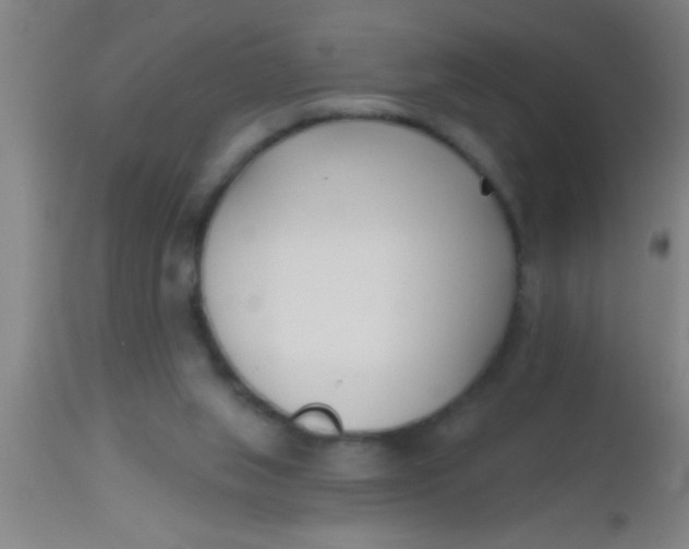 X0000112540063200909071432
