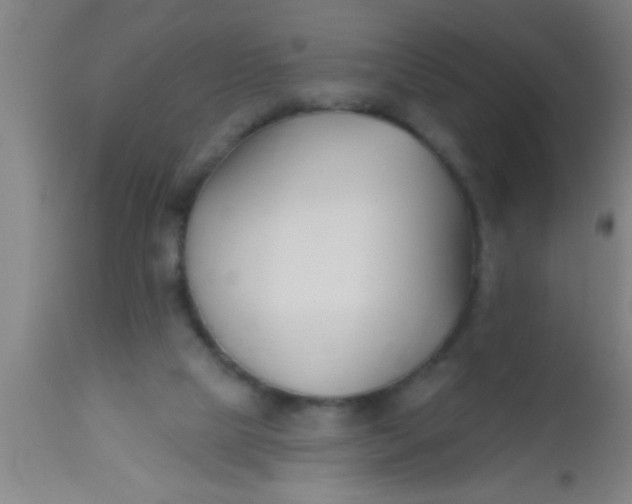 X0000112540065200909071432