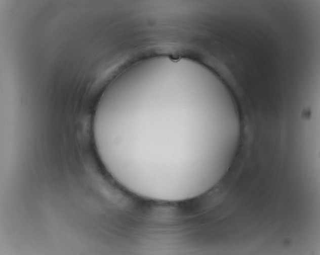 X0000112540066200909071432