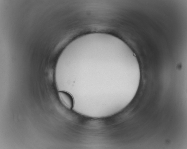 X0000112540067200909071432