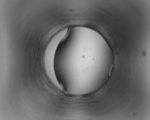 X0000112540068200909071432