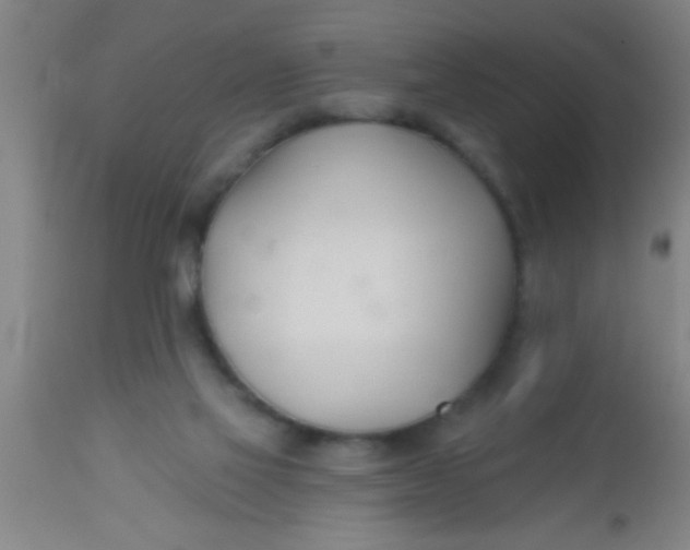 X0000112540069200909071432
