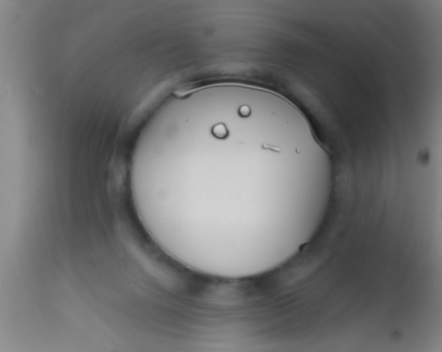 X0000112540072200909071432