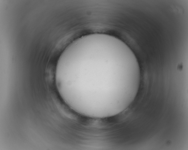 X0000112540074200909071432