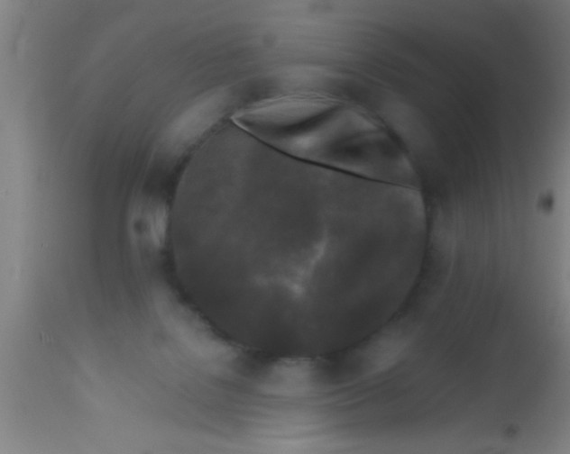 X0000112540076200909071432