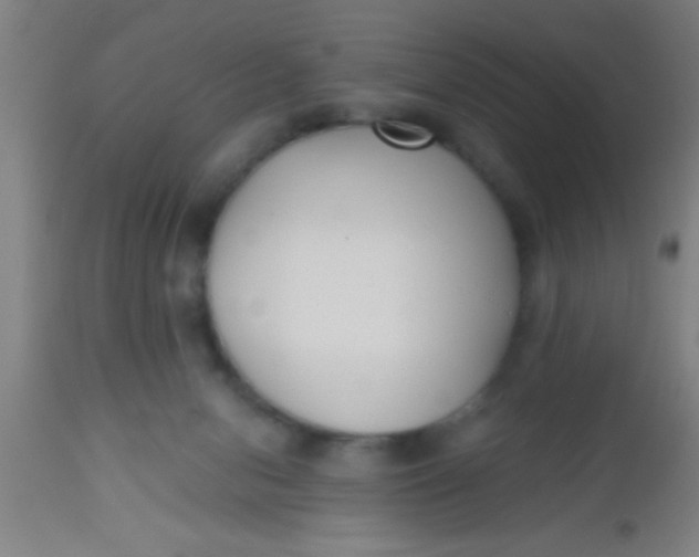 X0000112540078200909071432
