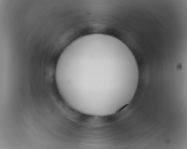 X0000112540082200909071432