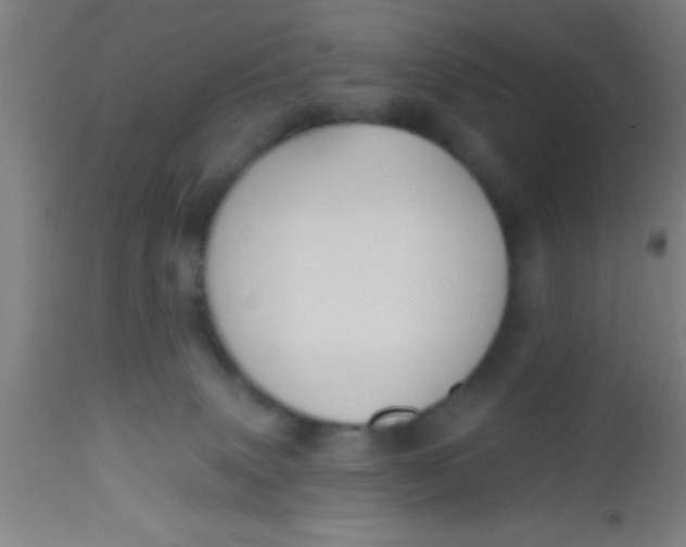 X0000112540083200909071432