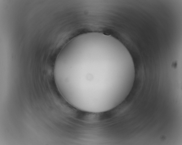 X0000112540084200909071432
